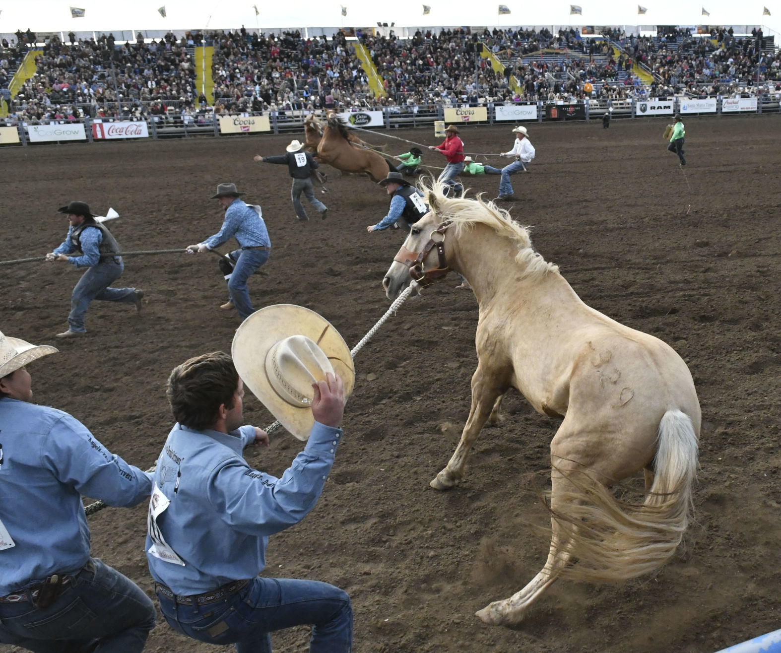 053019 Rodeo Thursday 12.jpg